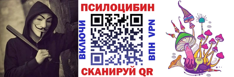 Купить где  Окуловка  Галлюциногенные грибы Psilocybine cubensis 